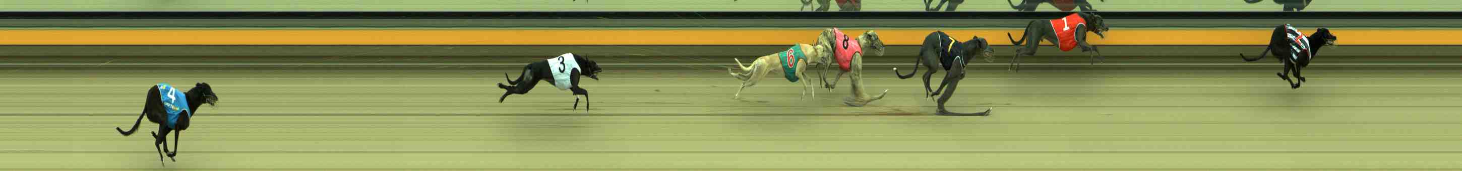 Race result finish photo